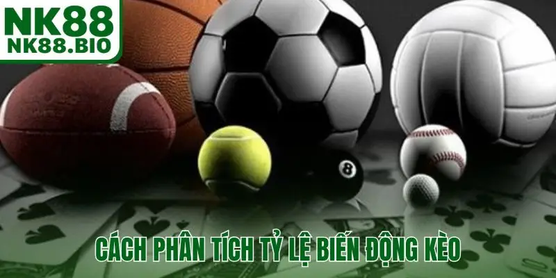 cách phân tích tỷ lệ biến động kèo